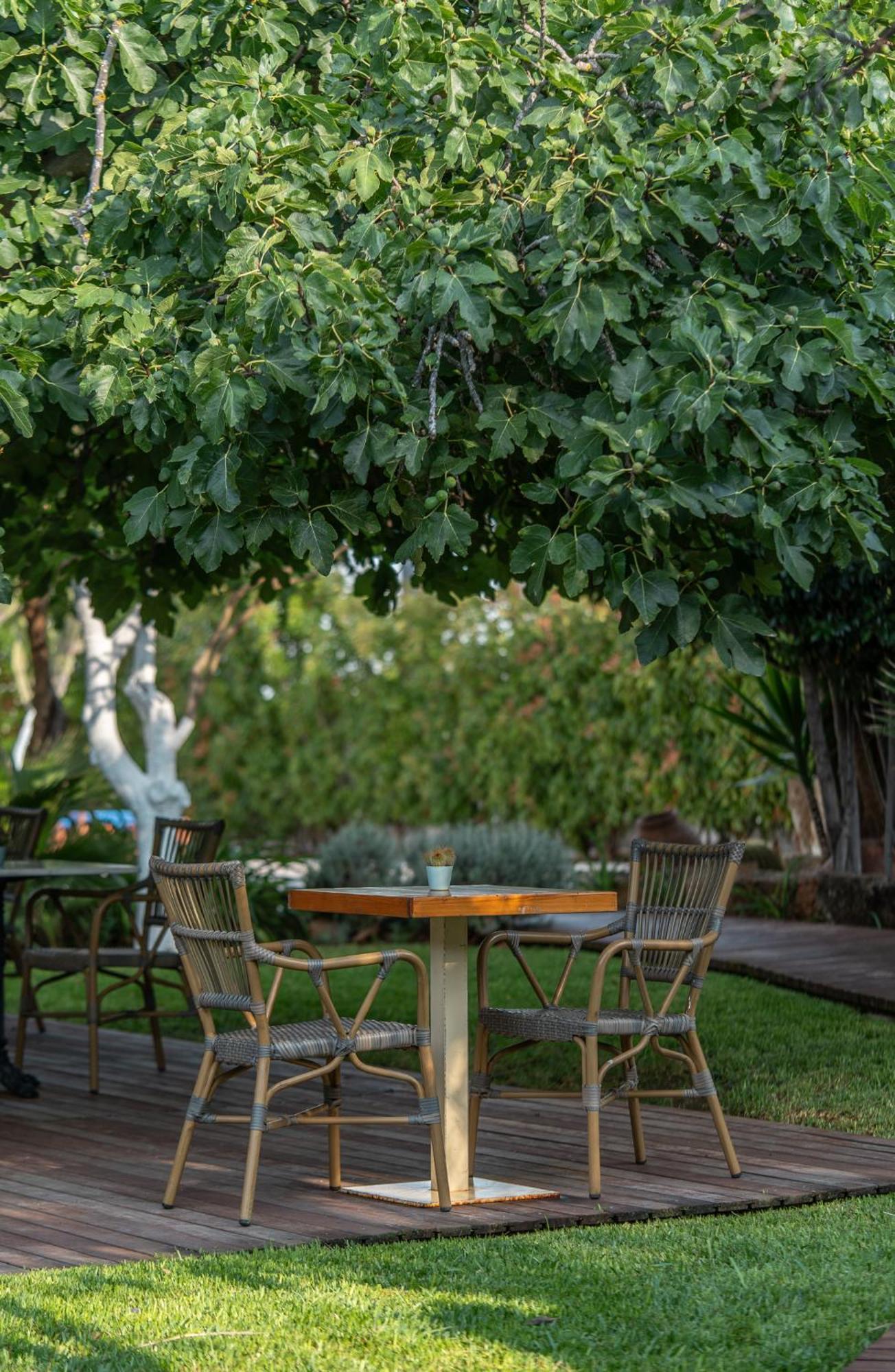 Boho Suites Denia (Adults Only) Exteriör bild